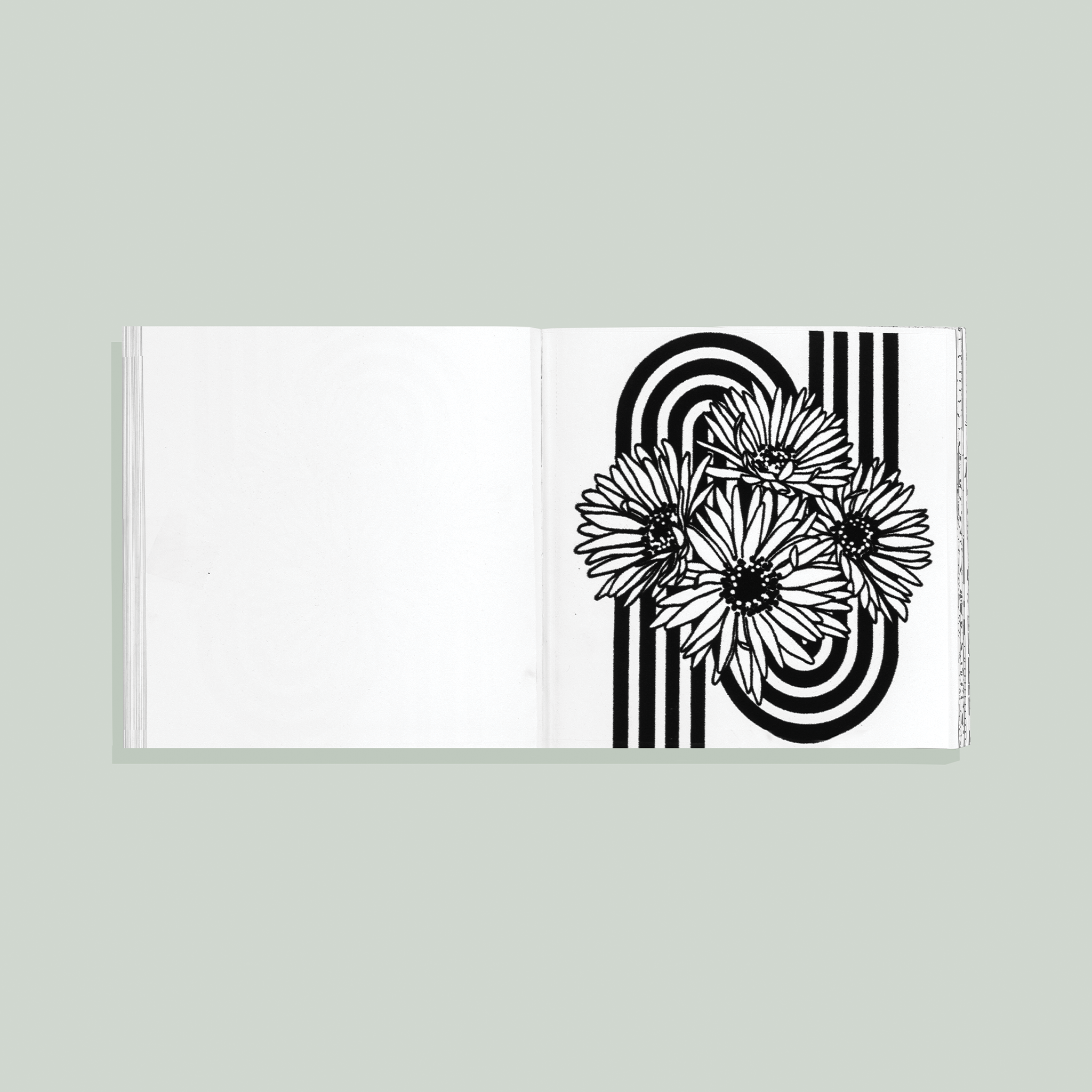 Heyday: A Retro Flower Design Coloring Book